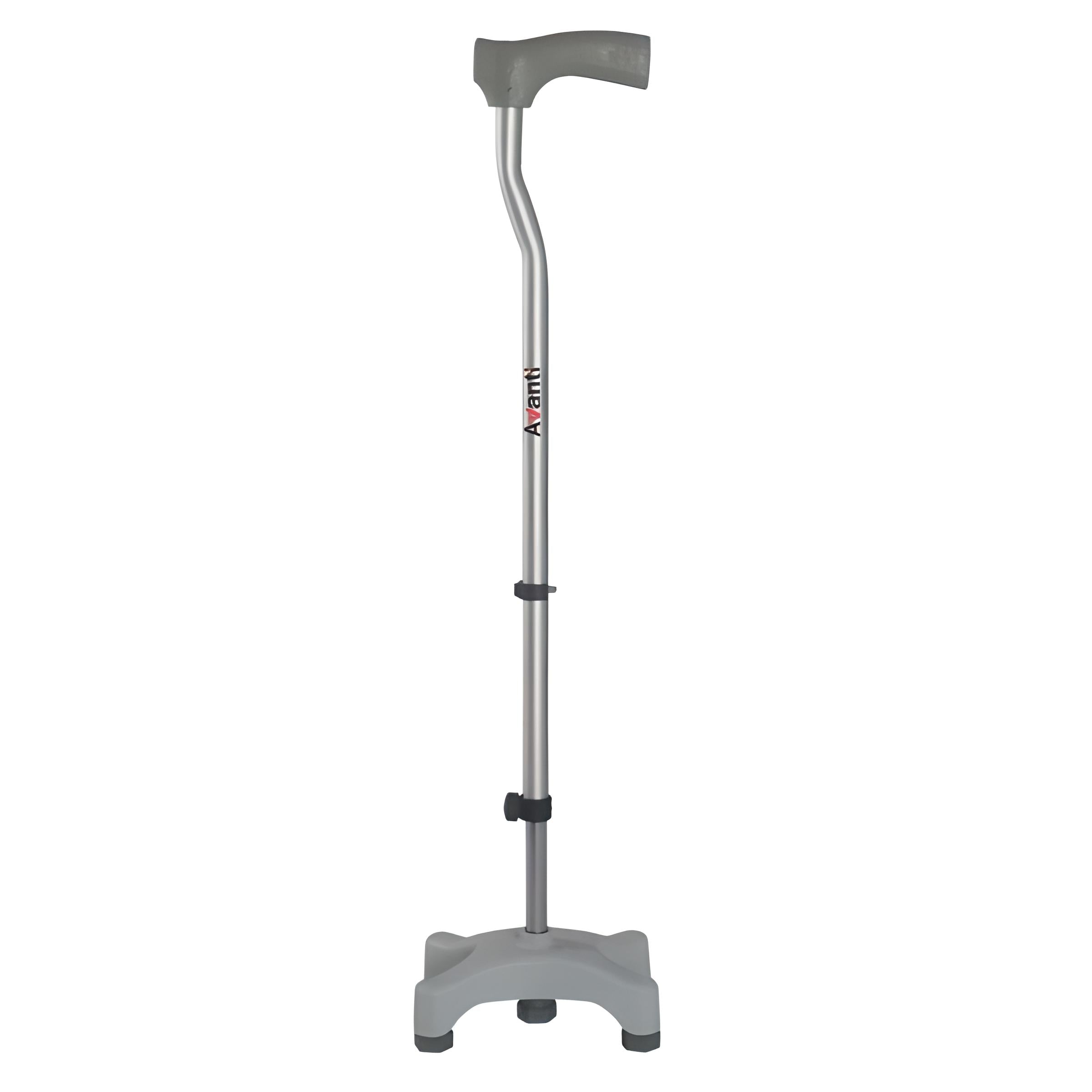 Quandripod Walking Stick