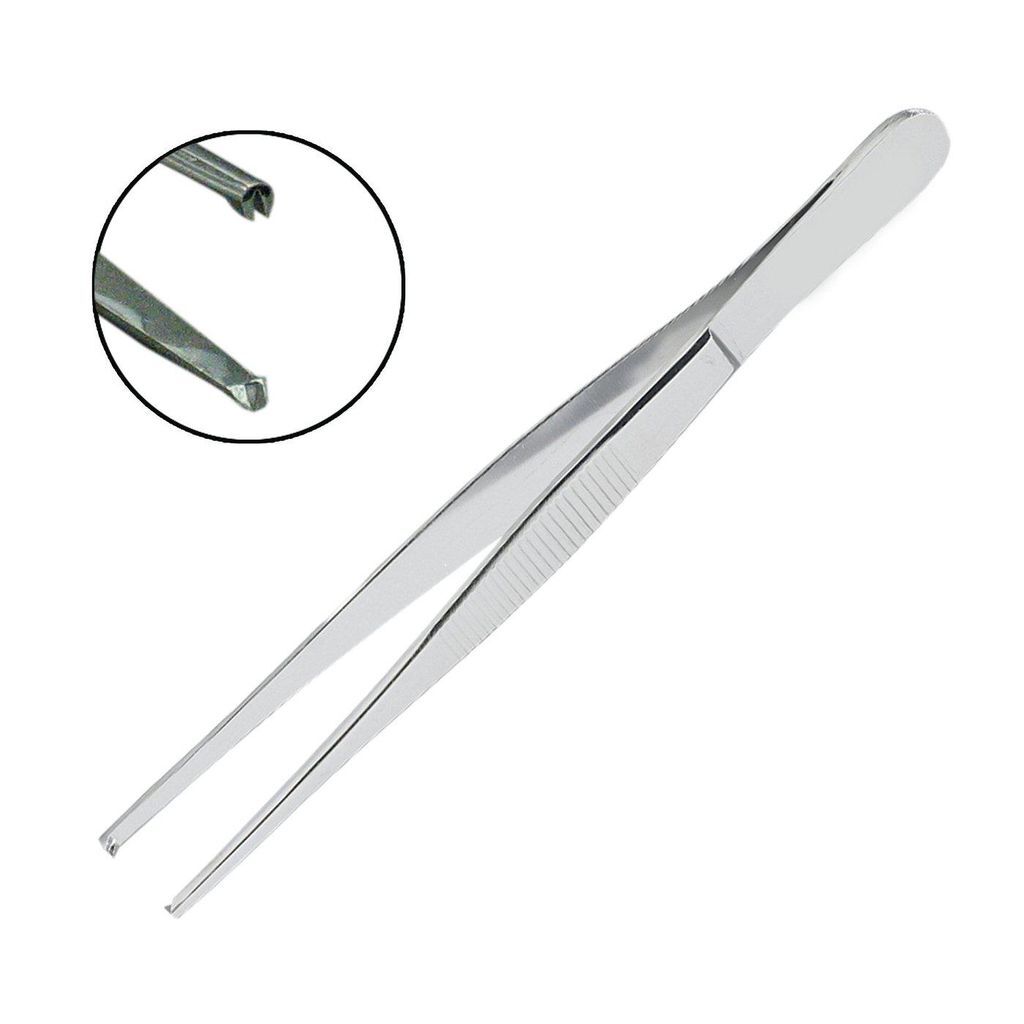 6 Inch 1x2 Teeth Dissecting Forceps