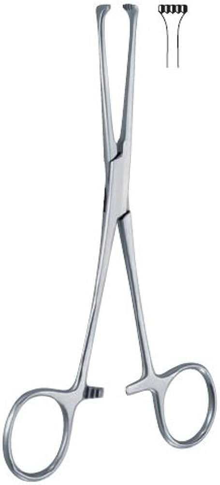 6 Inch  4x5 Teeth Allis Forceps Straight