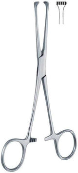 6 Inch  4x5 Teeth Allis Forceps Straight
