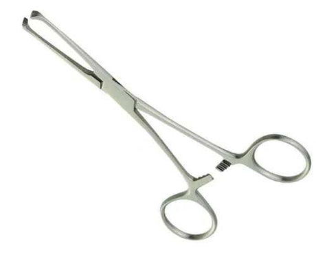 6 Inch  4x5 Teeth Allis Forceps Straight