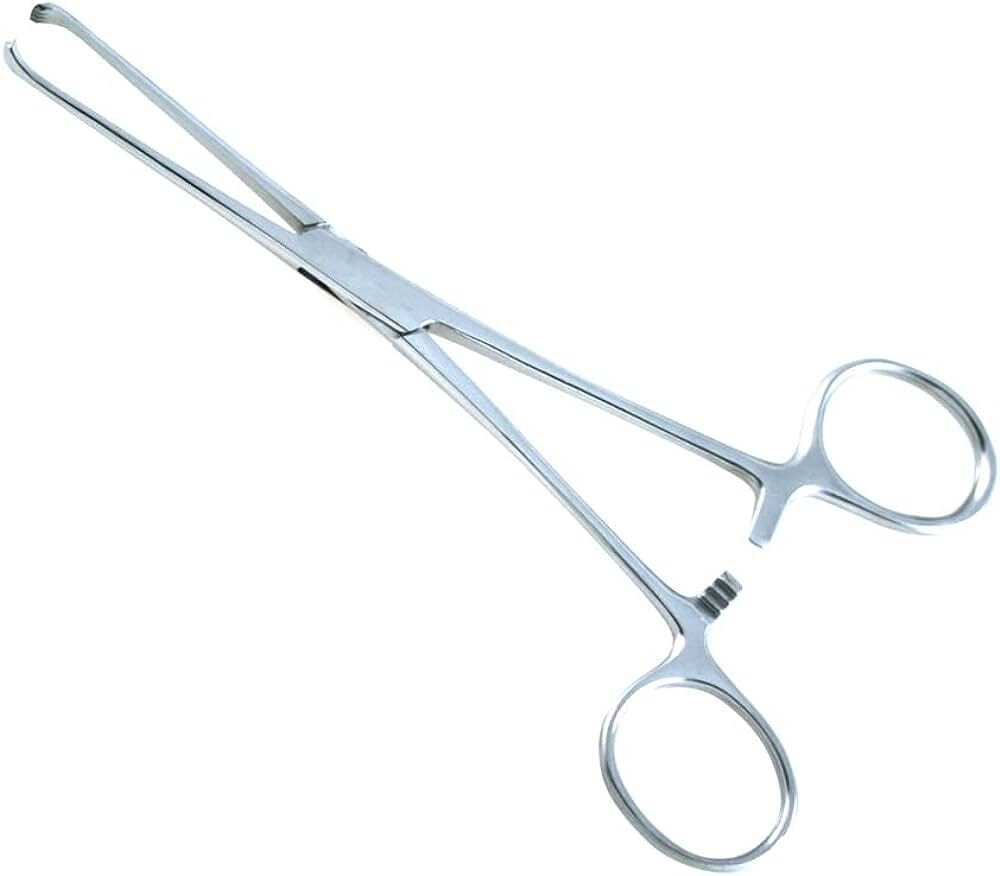 6 Inch  4x5 Teeth Allis Forceps Straight