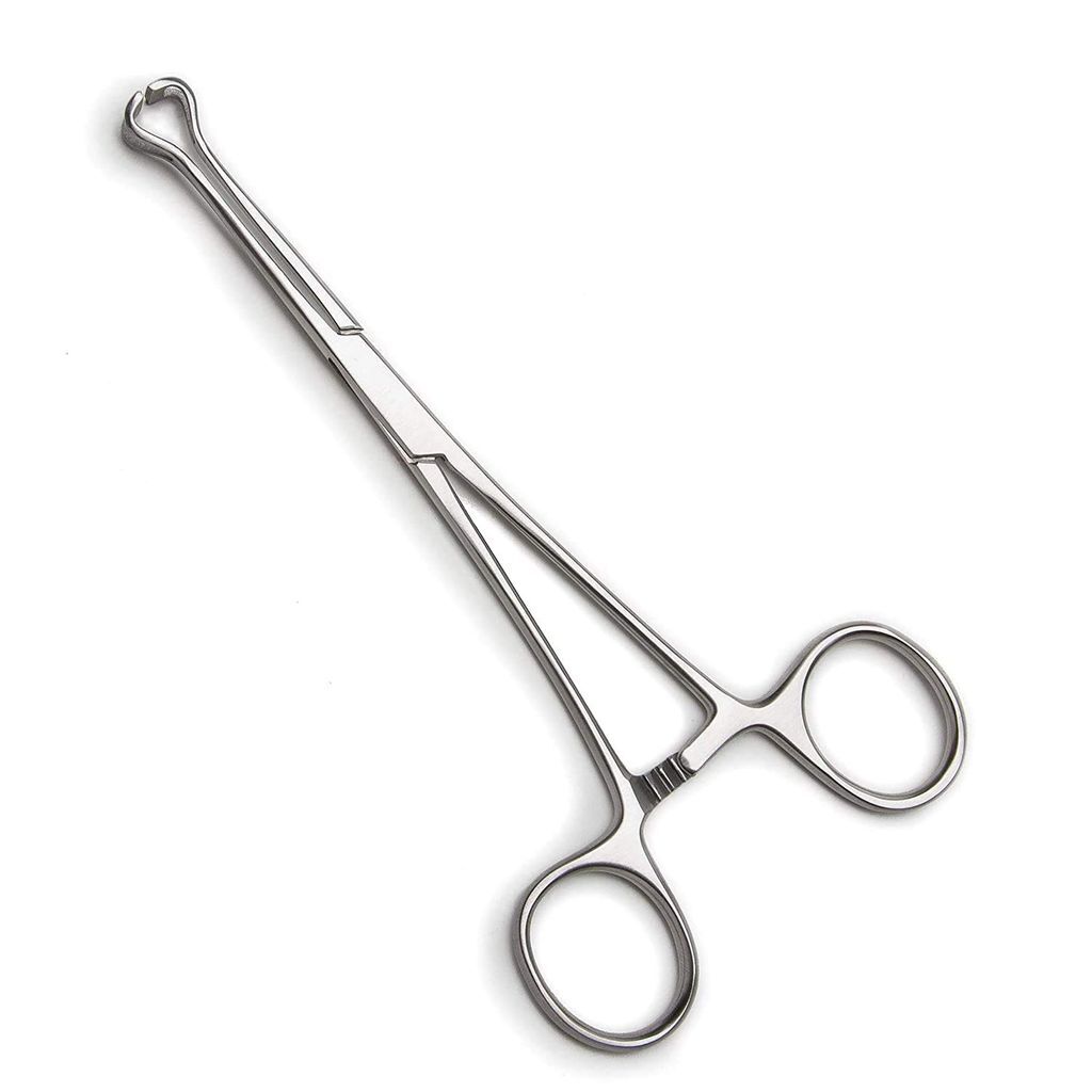 8 Inch Babcock Forceps