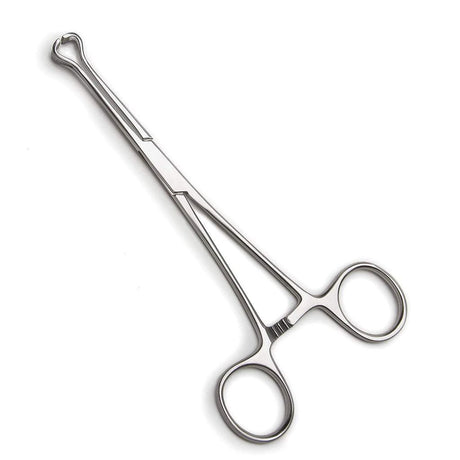 6 - 1/4 Inch Babcock Forceps
