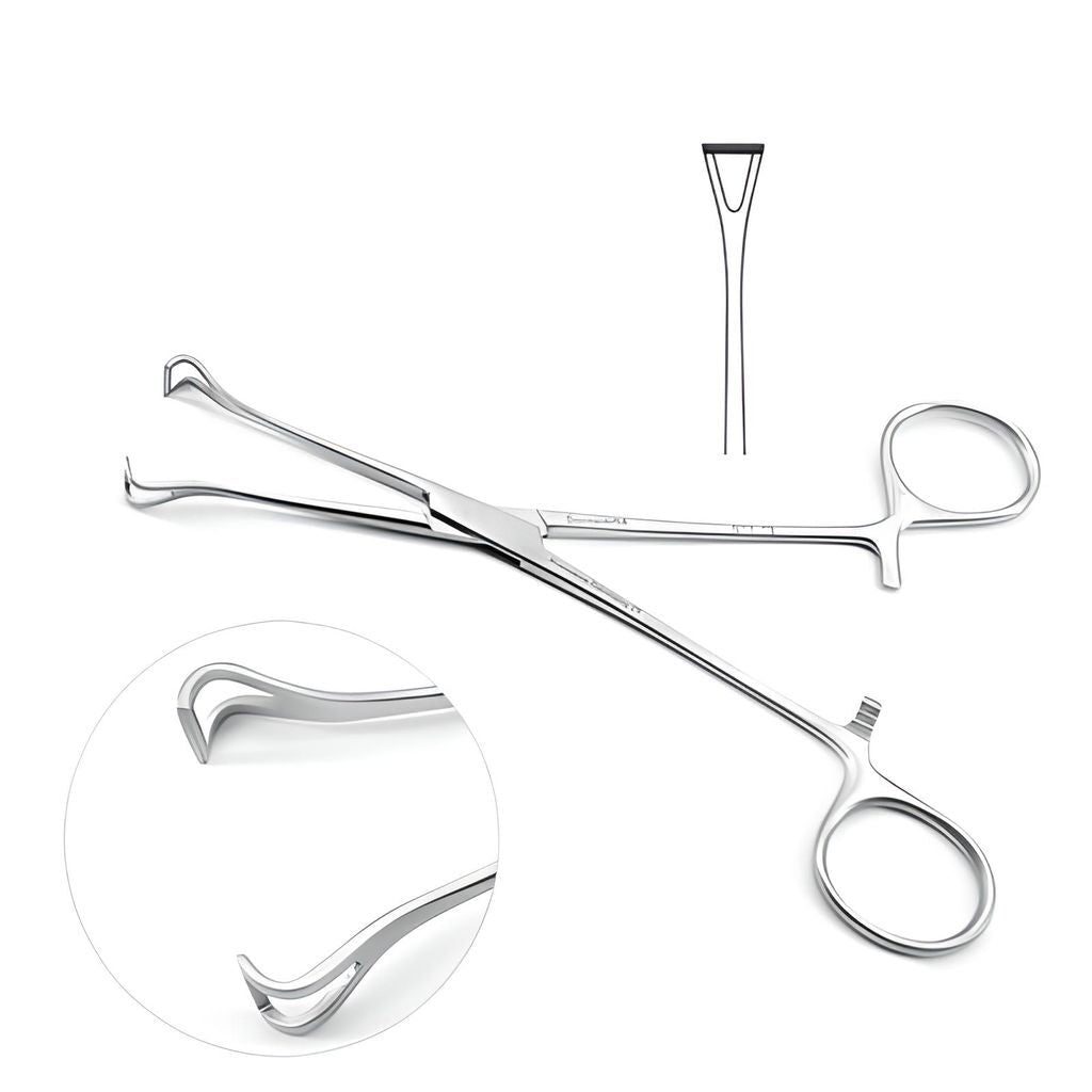 6 - 1/4 Inch Babcock Forceps
