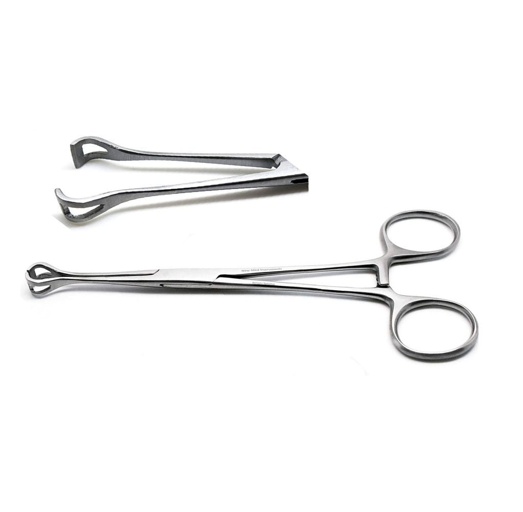 8 Inch Babcock Forceps