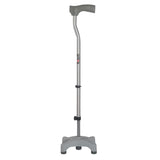 Quandripod Walking Stick